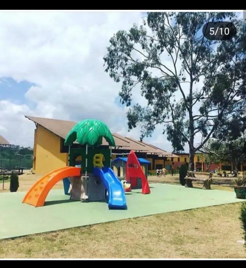Winterville Flat 226 Gravata  Luaran gambar